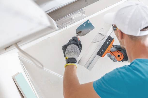 Best Industrial Mold Remediation  in Prague, OK